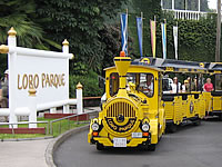 Juna Puerto de la Cruz - Loro Parque